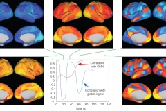 Predictive Brain Model: DMN emerging from global signal.
