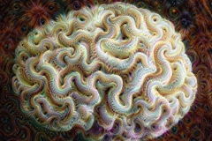 DeepDreamBrain