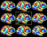 Parcellation and Functional Alignment